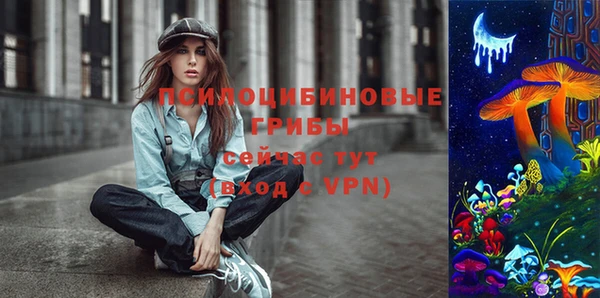 гидра Михайловск