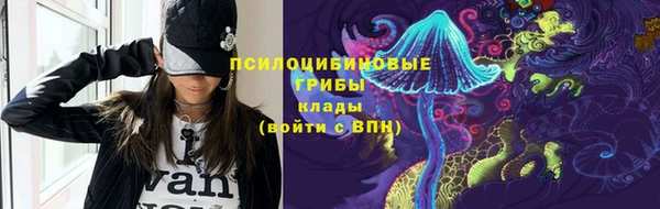 крисы Алексин