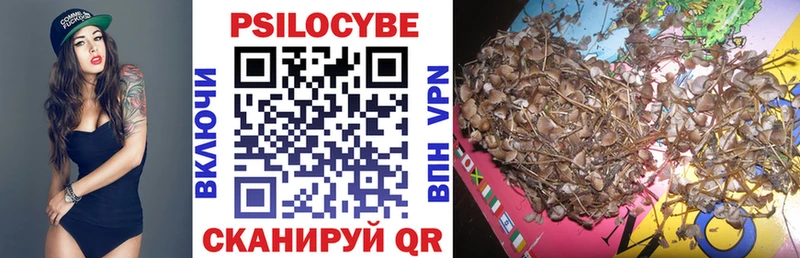 мега вход  наркота  Холм  Галлюциногенные грибы Psilocybe 